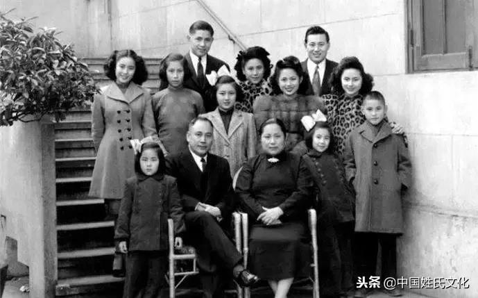 家谱关系图近代,家谱记载内容