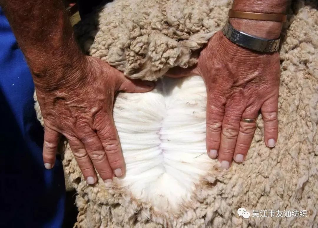 服装面料的选择依据及原则,如何选择正确的衣服面料