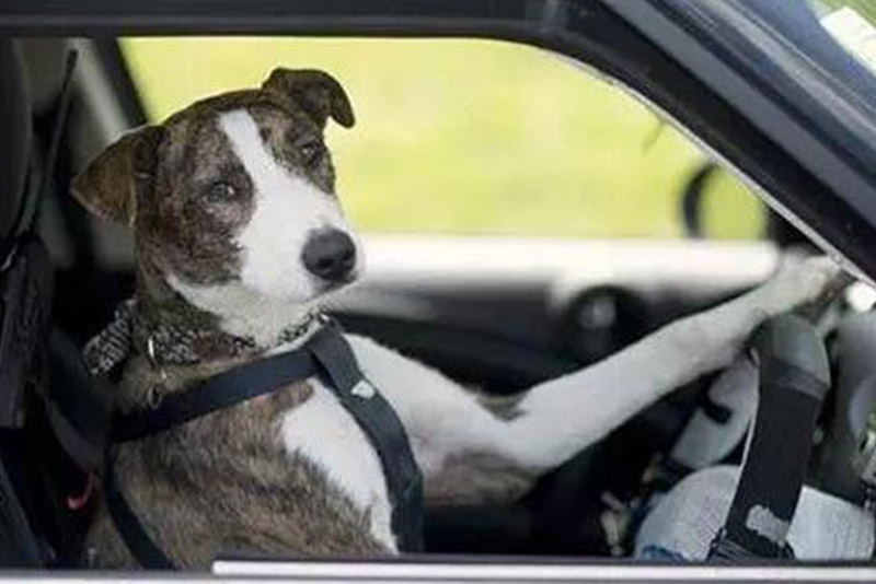 挽回男友步骤和流程,挽回男朋友的方法和技巧