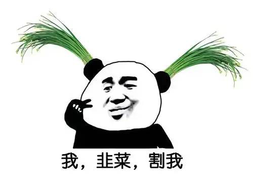 自己开的公司可以给自己买保险吗,自己开公司买保险划算