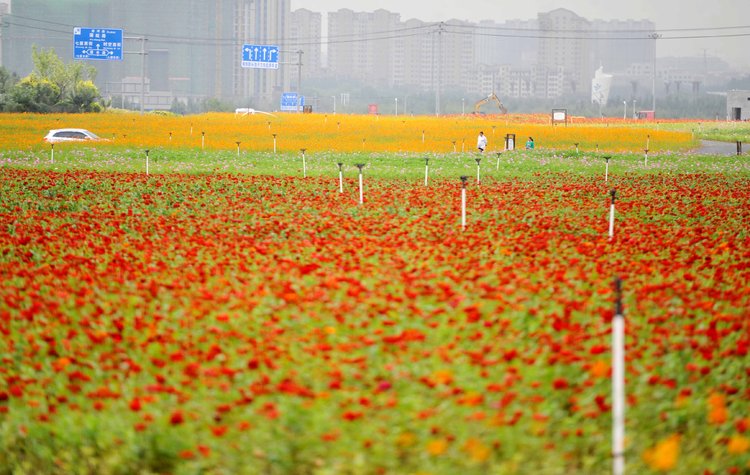 看看沈阳这三家企业是如何创新“变现”的！