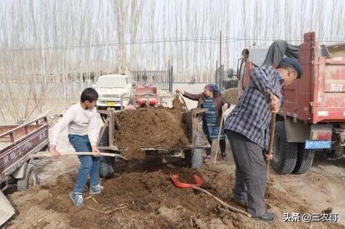 适合农村的家庭致富小项目盘点,农村适合做哪些创业小项目