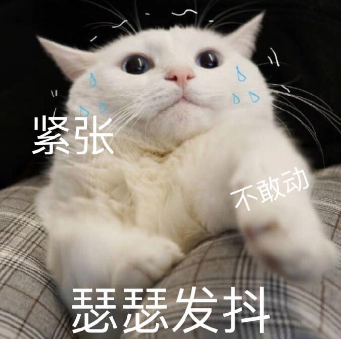 公立学校冬天冷,私立学校的春天来了