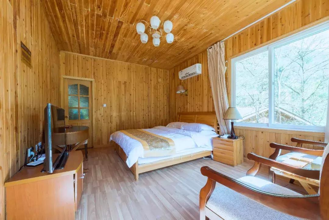 万亩杜鹃花开！邂逅野生水鹿，观云海住树屋，成都自驾3.5h就到！