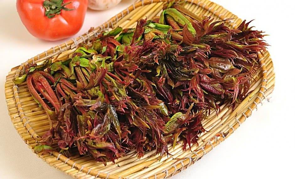 “树上蔬菜”可美容养颜，但不是人人都能吃