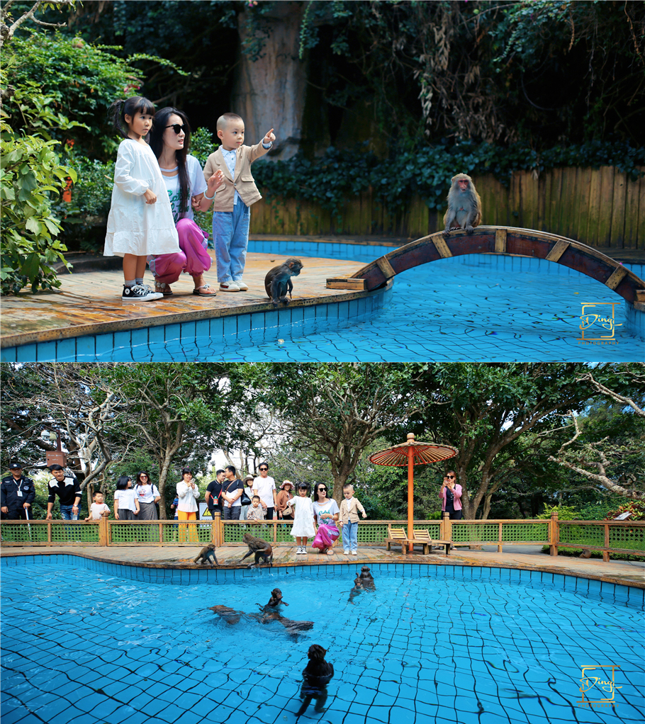 陵水猴岛与呆呆岛之旅,三亚猴岛呆呆岛有必要去吗