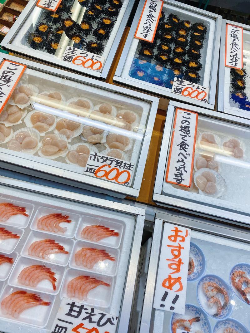 日本小众路线冬,日本冬天观光公路