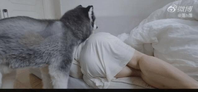 蜜桃臀挺翘饱满，是她成为无数宅男的梦中情人