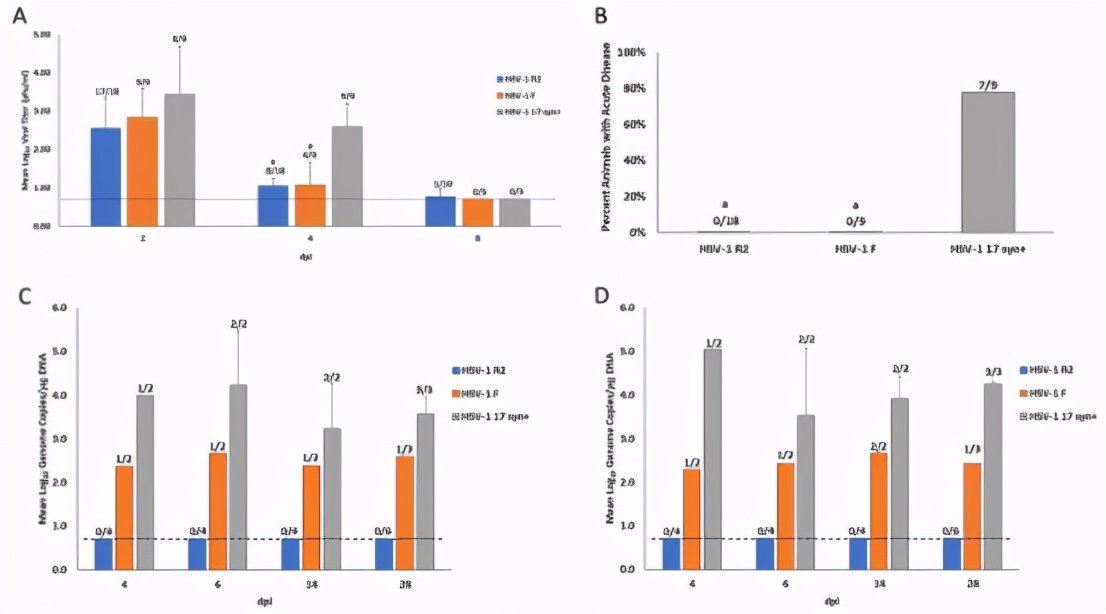 单纯疱疹病毒感染疫苗,疱疹病毒疫苗效果如何