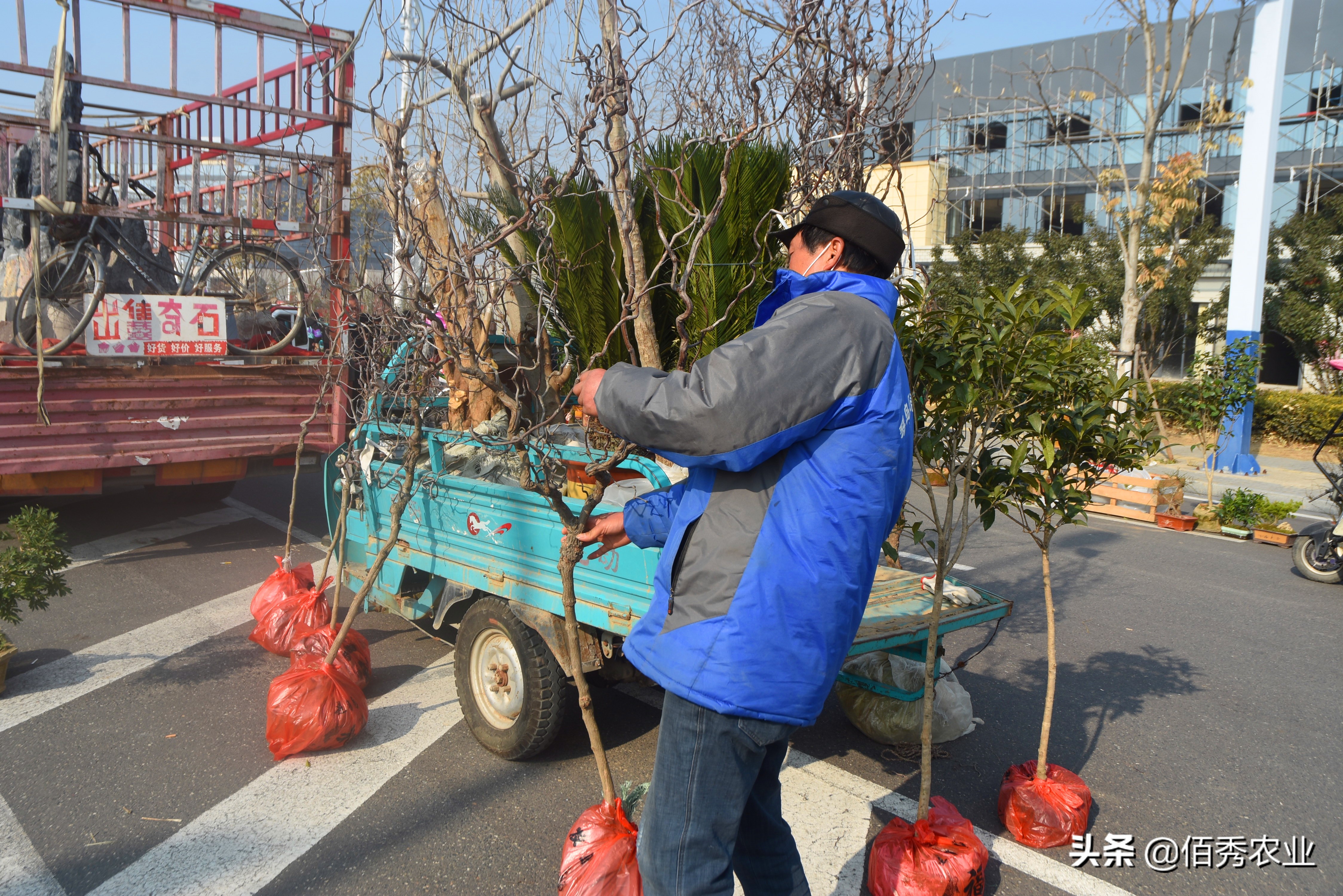 <html>
<head><title>502BadGateway</title></head>
<body>
<center><h1>502BadGateway</h1></center>
<hr><center>nginx</center>
</body>
</html>
<!--apaddingtodisableMSIEandChromefriendlyerrorpage-->
<!--apaddingtodisableMSIEandChromefriendlyerrorpage-->
<!--apaddingtodisableMSIEandChromefriendlyerrorpage-->
<!--apaddingtodisableMSIEandChromefriendlyerrorpage-->
<!--apaddingtodisableMSIEandChromefriendlyerrorpage-->
<!--apaddingtodisableMSIEandChromefriendlyerrorpage-->
