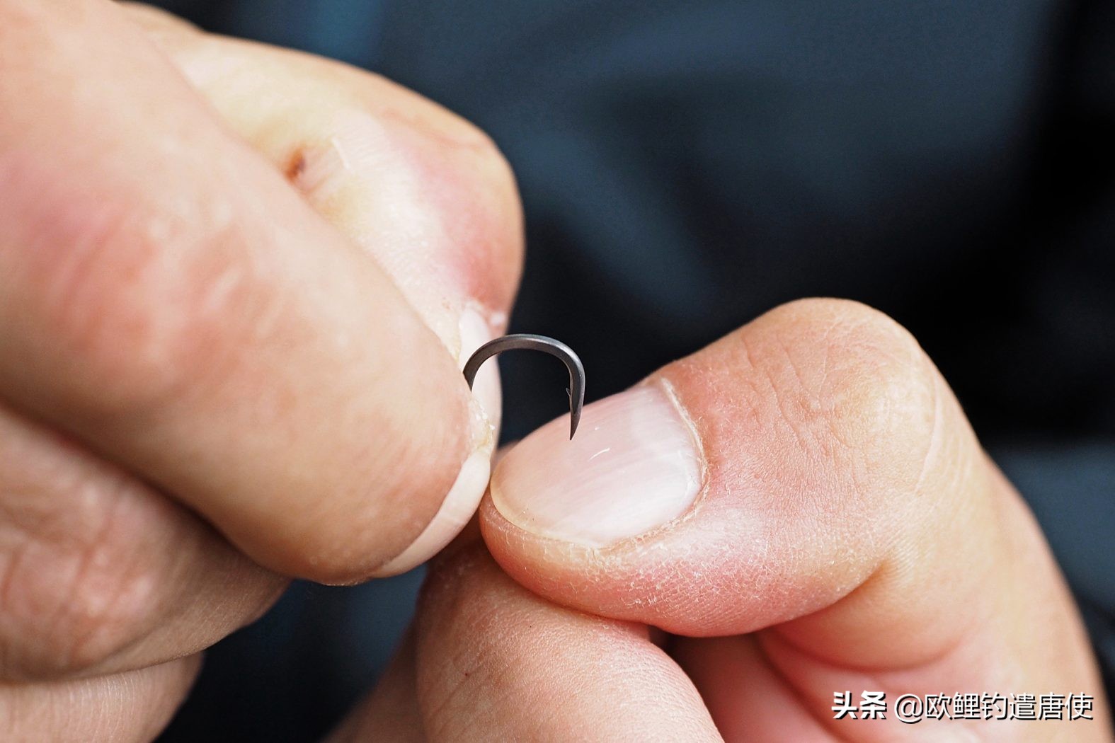 欧鲤钓真正的挂饵方法,欧鲤钓法视频教程大全