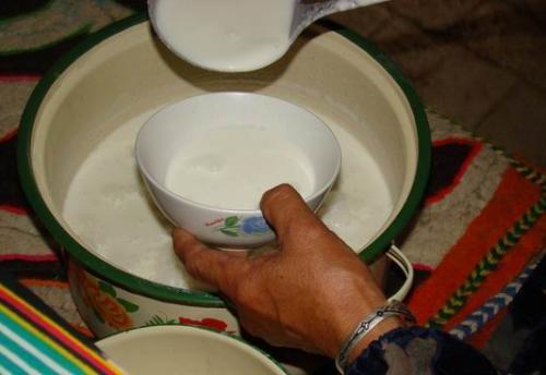 驼奶真的对血糖有帮助吗,驼奶能降血糖吗