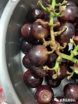 在网上买水果有哪些坑,在网上买水果划算吗