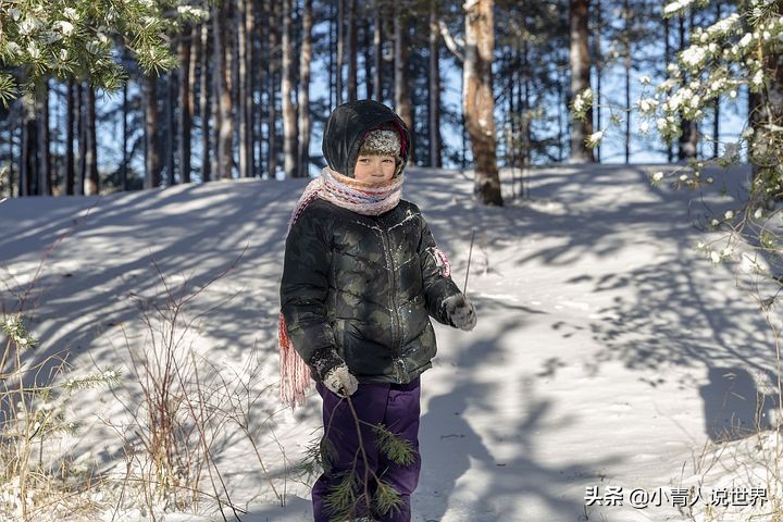 圣彼得堡是个怎样的城市,圣彼得堡有什么魅力