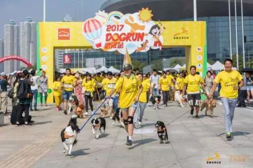 开宠物店一个月可以赚多少钱,揭秘宠物店是怎么赚钱的