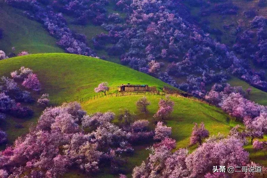 全新疆旅游景点有哪些,新疆带沟的旅游景点