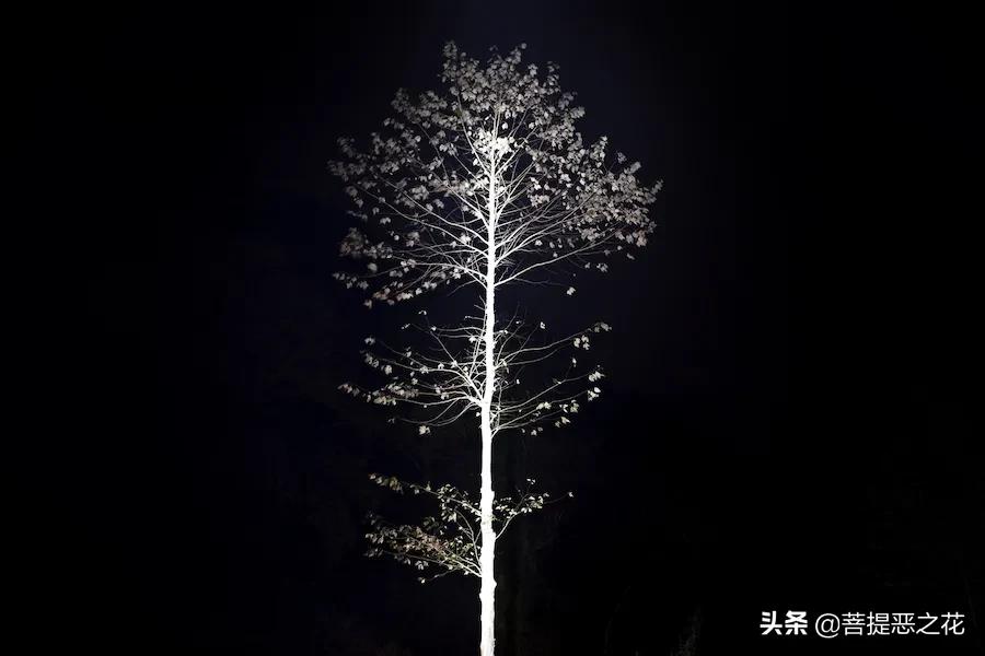 欲望的原则,欲望潜伏期