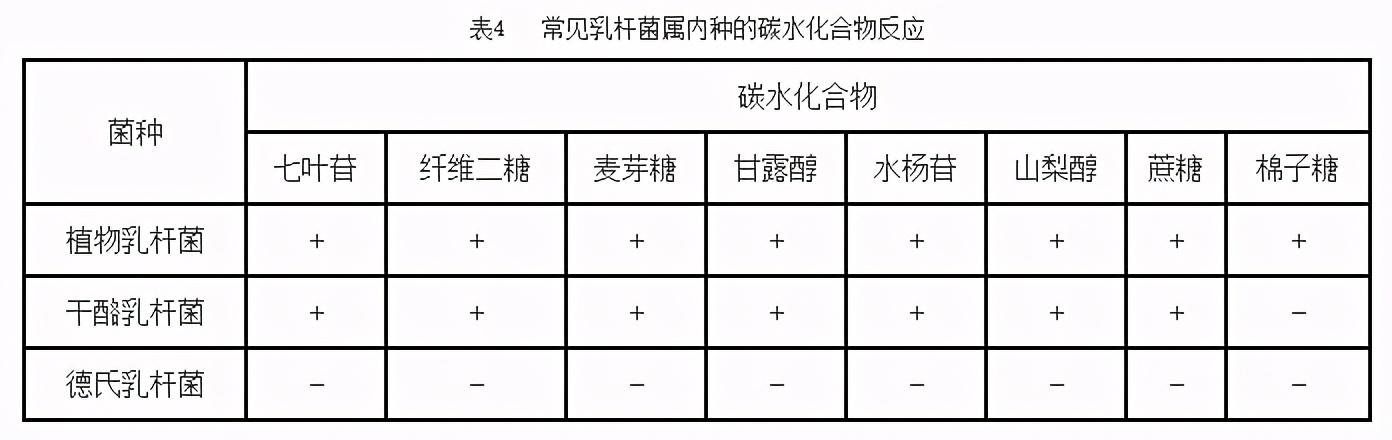 鉴定乳酸菌的常用的培养基是什么,乳酸菌微生物检测