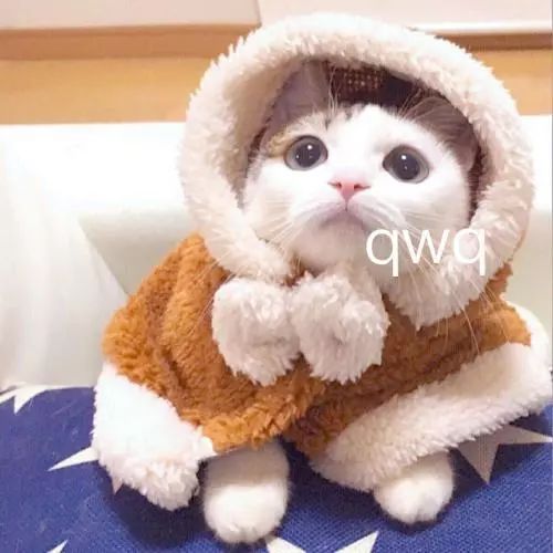 今年流行什么样的包秋冬,春季新款潮流百搭经典包