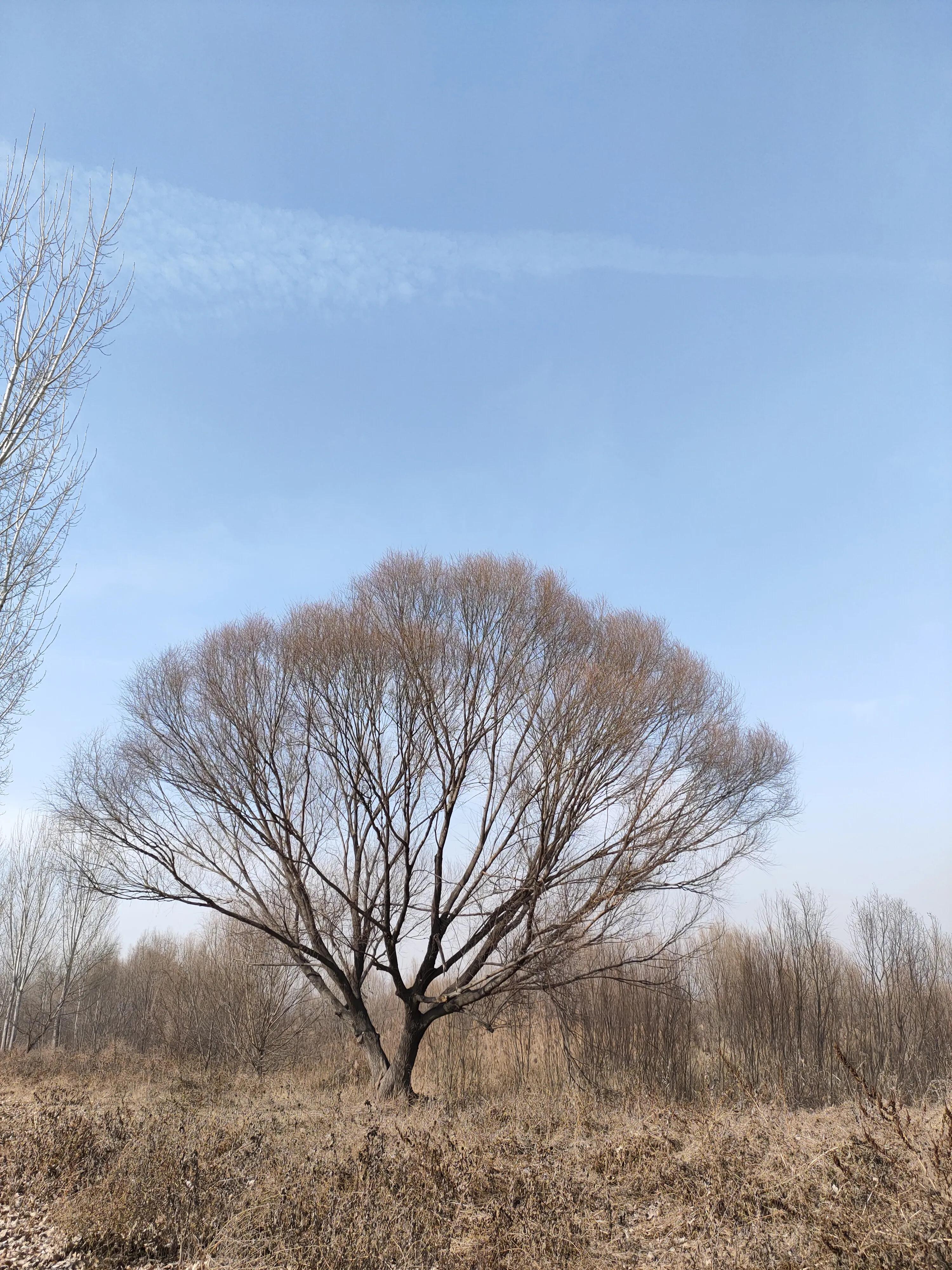 写作文结尾怎么写才能得高分,写作技巧开头和结尾怎么写