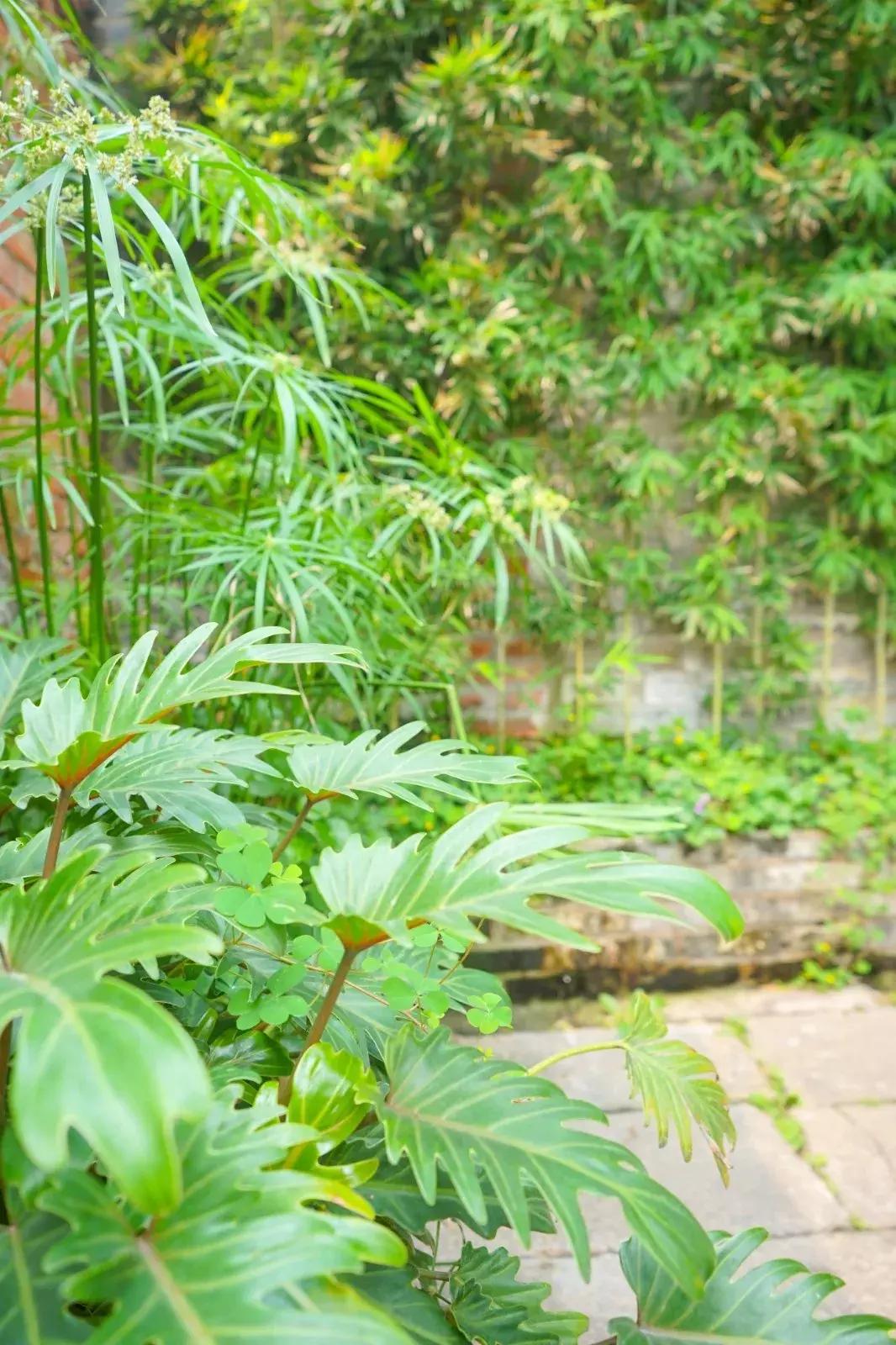 藏在巷子里的广东云吞面,老广州云吞面