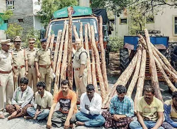 印度小叶紫檀玩坏了怎么办,小叶紫檀事件印度