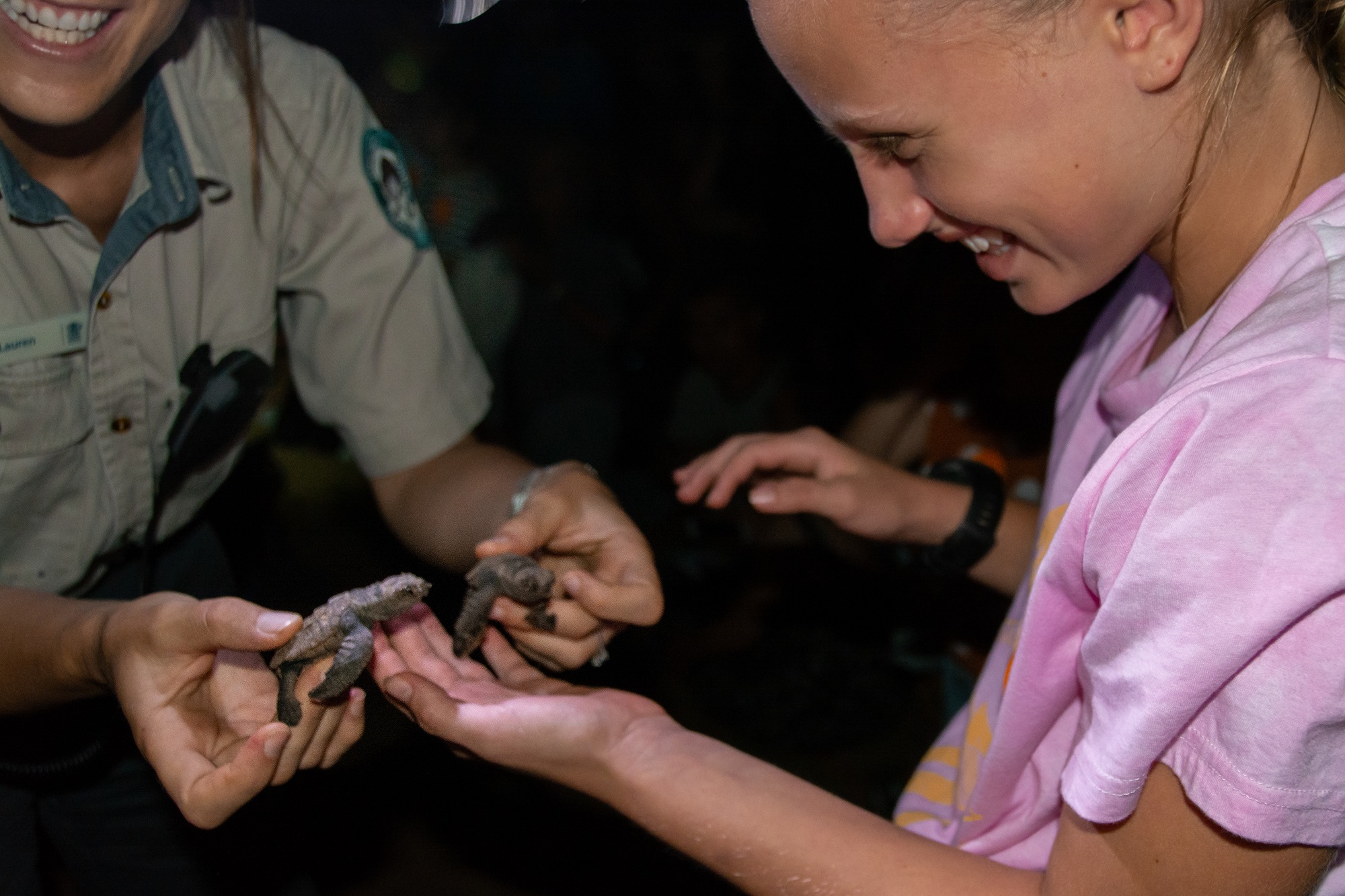 奇妙海洋动物认识鲸鱼和章鱼,认识海洋生物感受海洋神奇之美