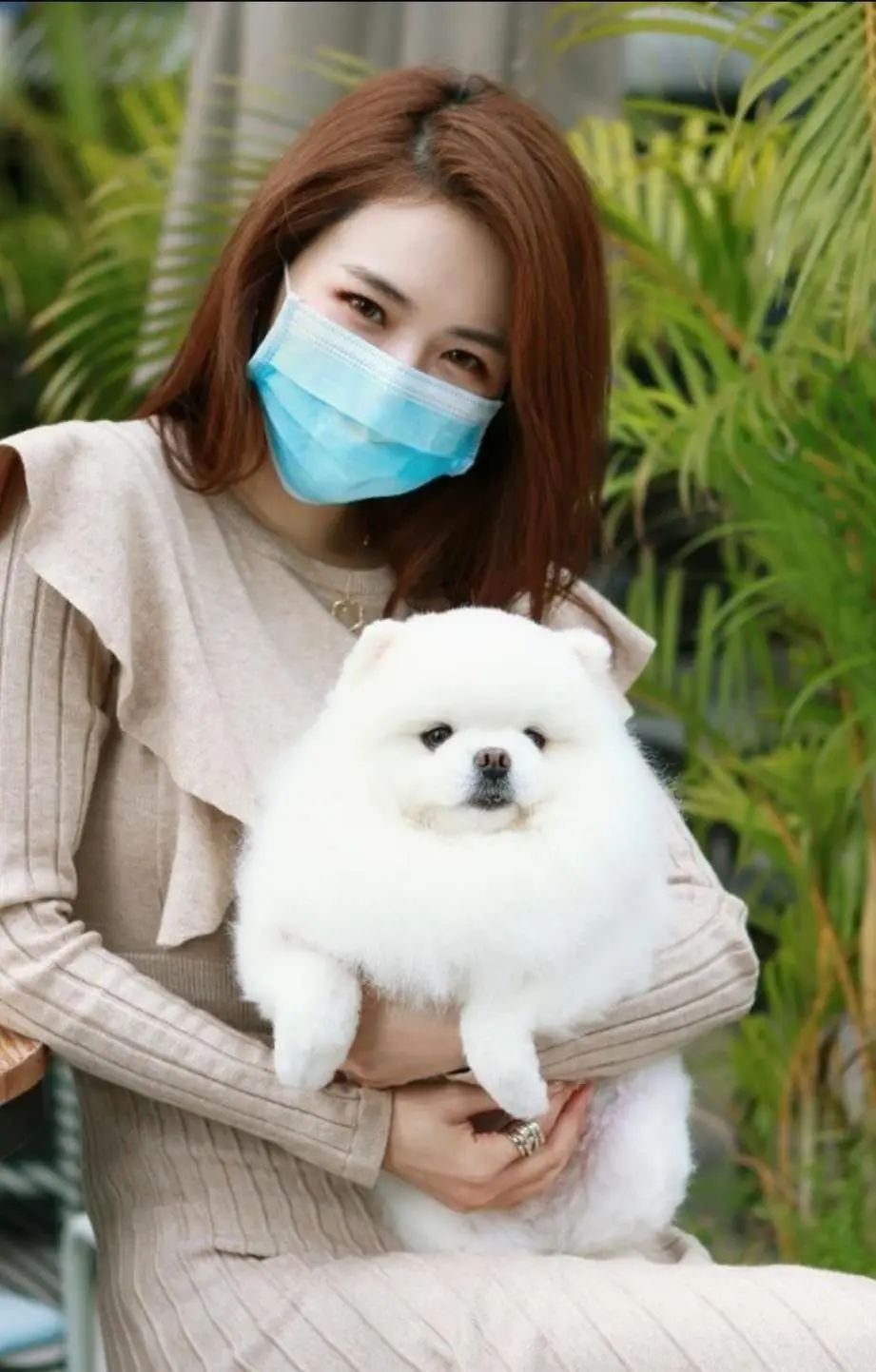 切肤之痛！TVB剧集歌后曾遭父母遗弃：激动直言绝不会弃养爱犬