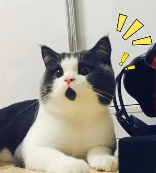 杭州12岁男孩把笔插入自己的尿道！医生说，这方面的教育不能回避