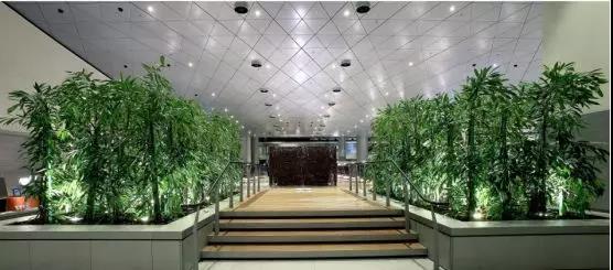 卡塔尔航空777经济舱体验,卡塔尔航空qsuite商务舱是哪个飞机