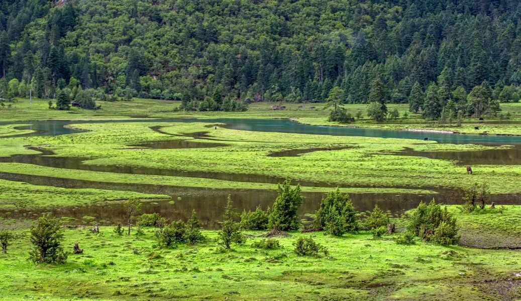 巴松措最近期攻略,巴松措可以开进去吗