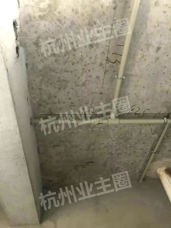 绿都什么意思,绿都包括哪些绿