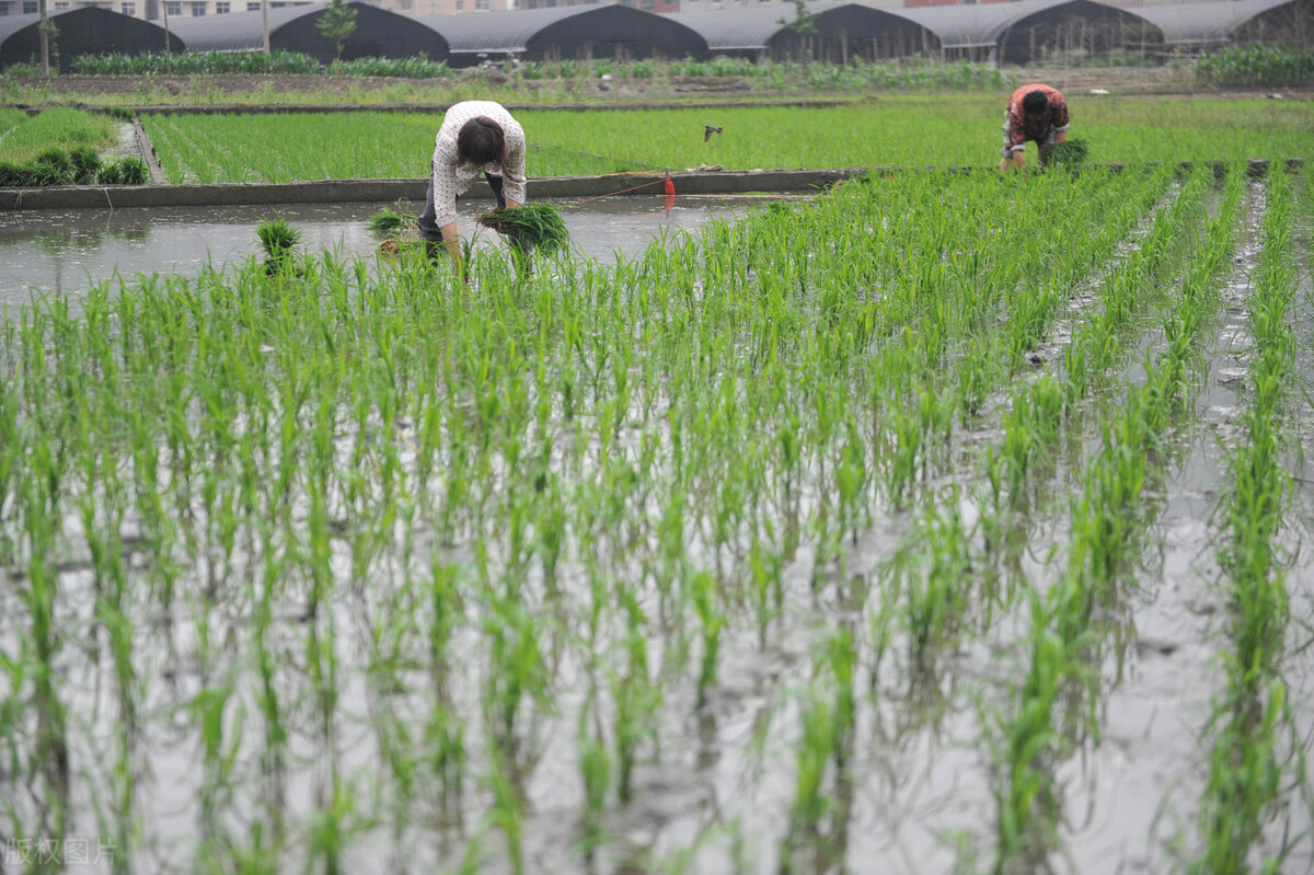 湛江市属于发达城市还是落后,湛江穷还是富