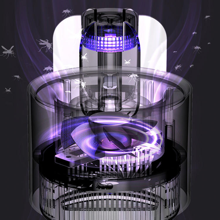 防辐射盆栽仙人掌,四季开花驱蚊的盆栽