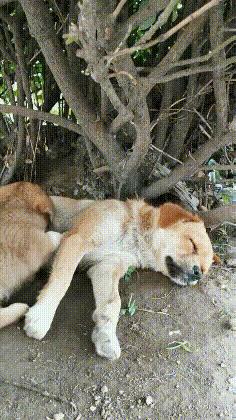 公路车搞笑gif,越野技术搞笑gif