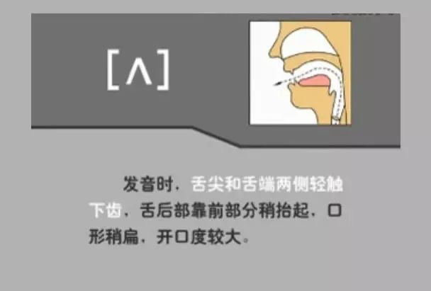 英语音标48个快速记,英语48个音标顺口溜视频教程