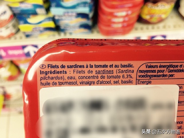 沙丁鱼的故事是真是假,沙丁鱼未解之谜是什么