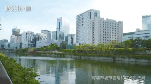 不离深,深圳高颜值绿道推荐一日游正好