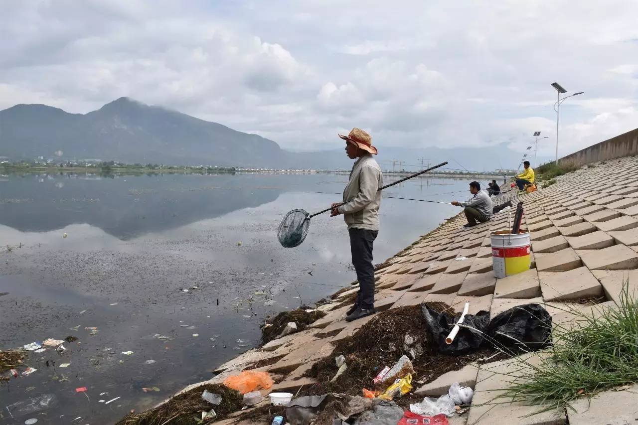 钓鱼背锅侠,钓鱼背锅