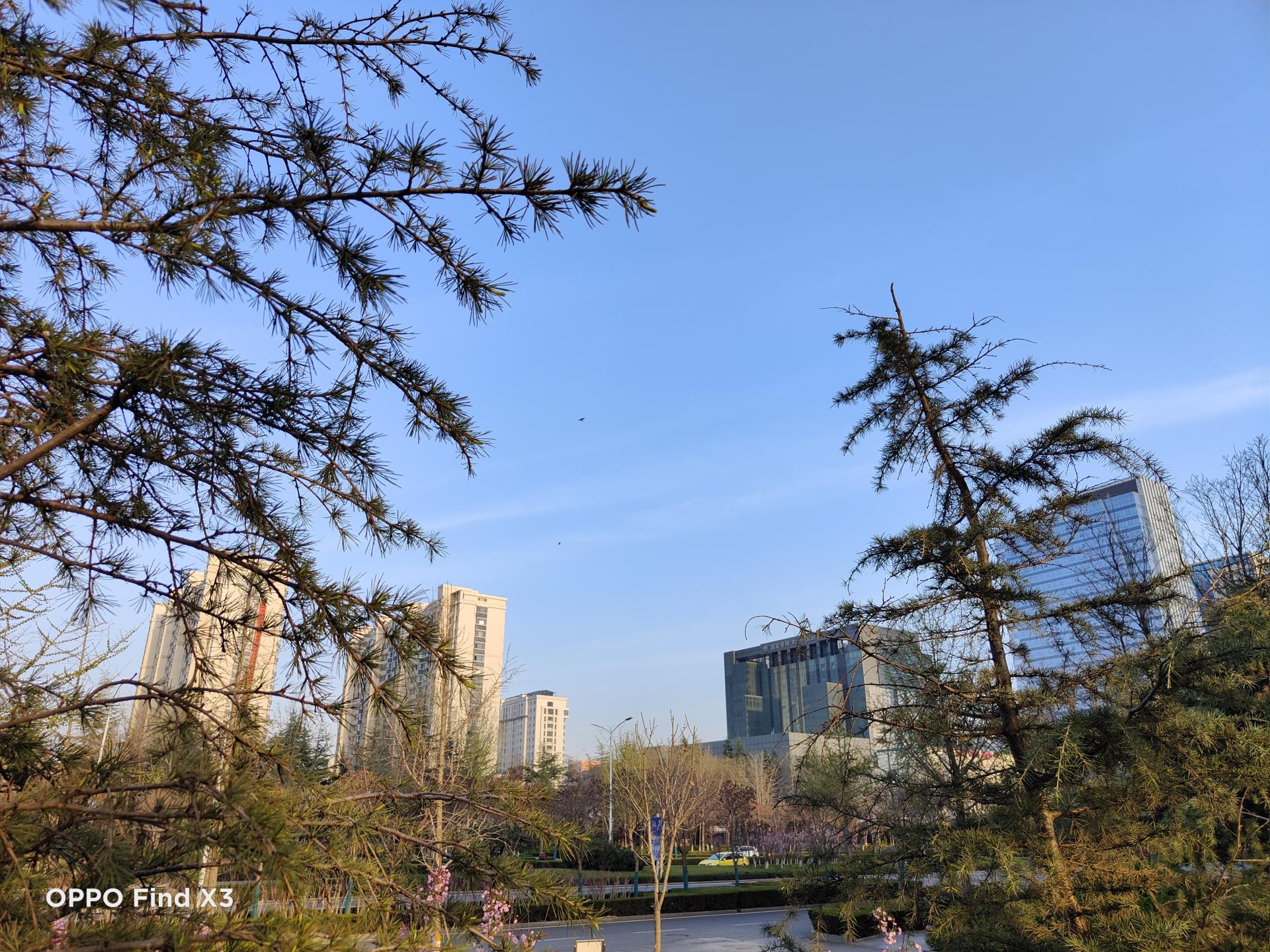 oppofindx3pro能和iphone比吗,oppofindx3真实体验