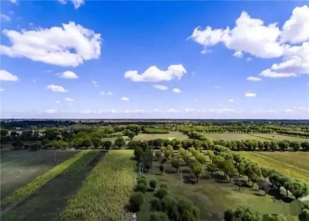 农村集体经济产权改革,农村集体产权制度改革农民宅基地