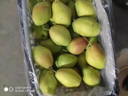 战疫助农滞销品突然销售火爆,战疫助农数据