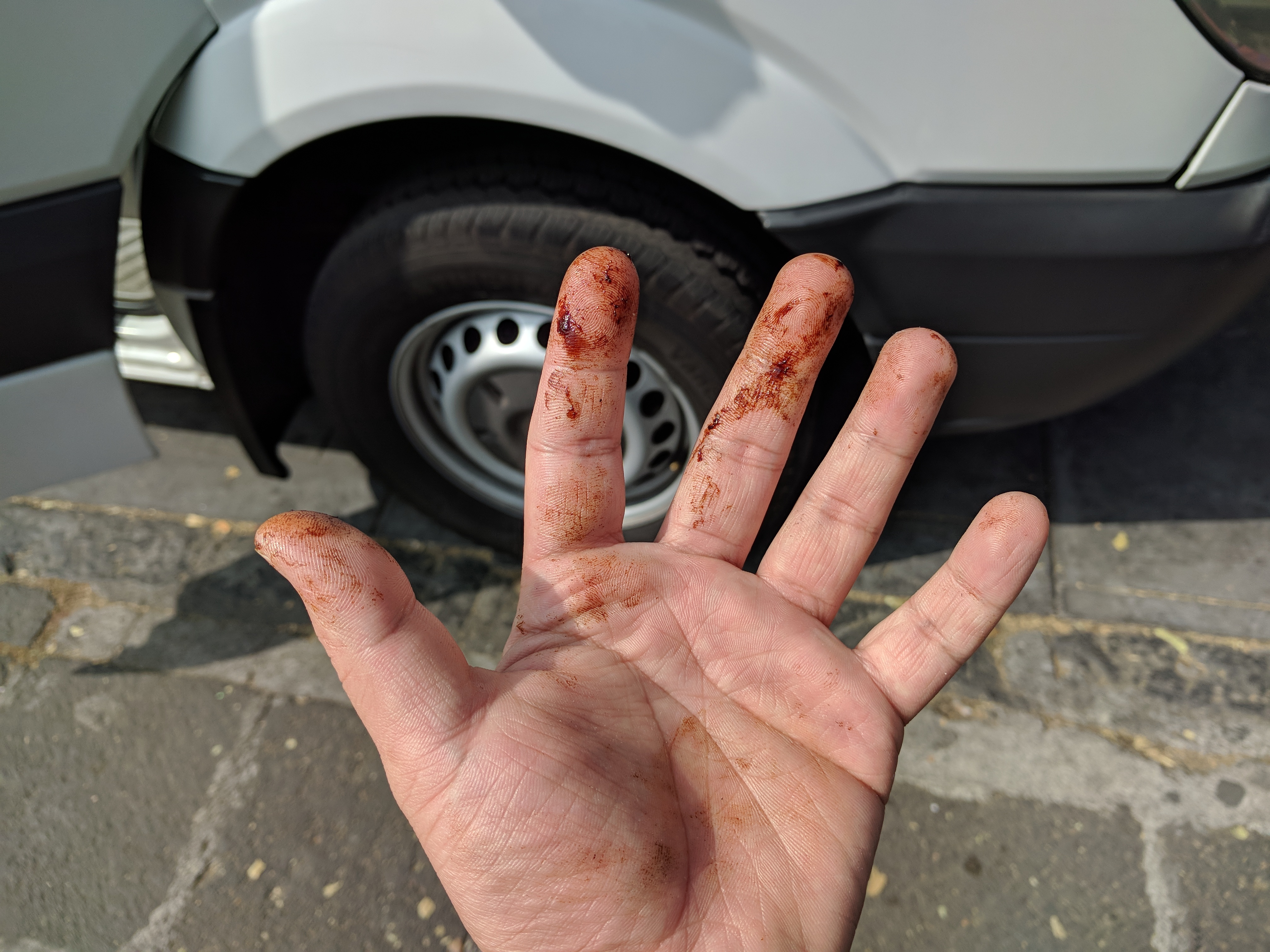 世界上有哪些常见的热带水果,欧洲奇特的水果