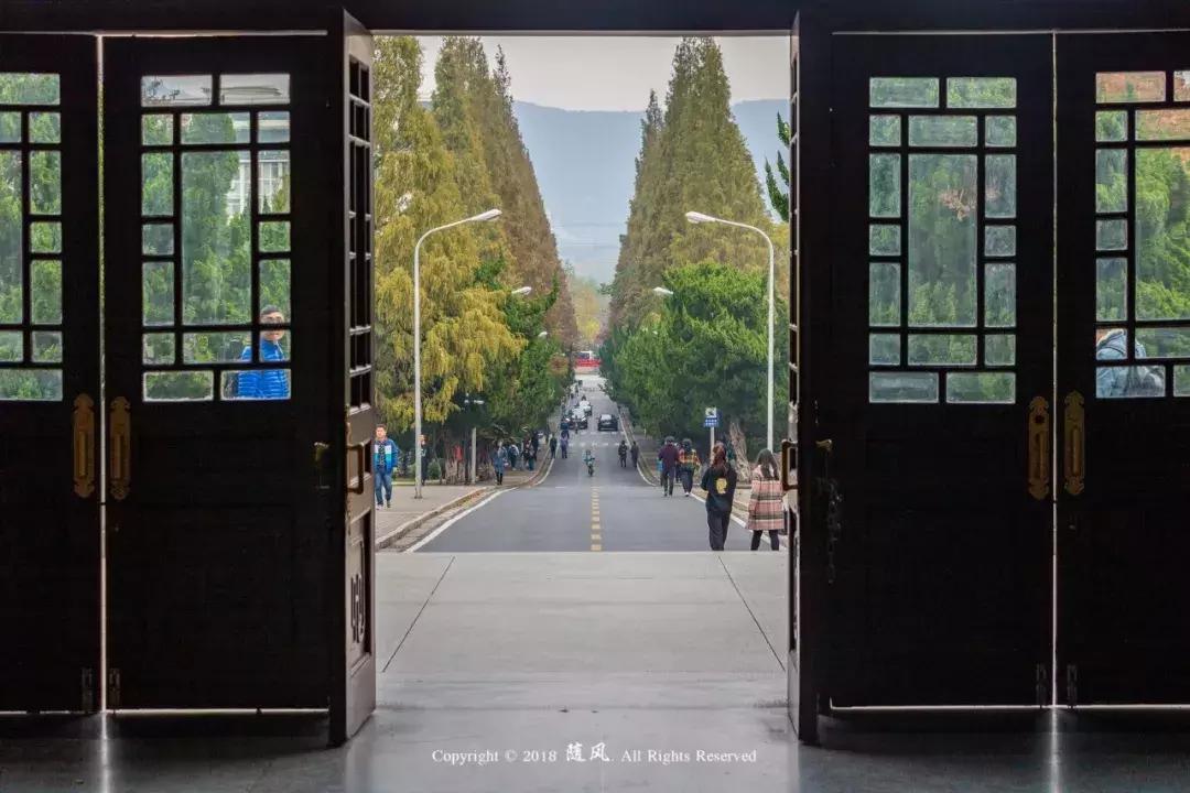 南京的大学学校面积,南京的大学有哪些