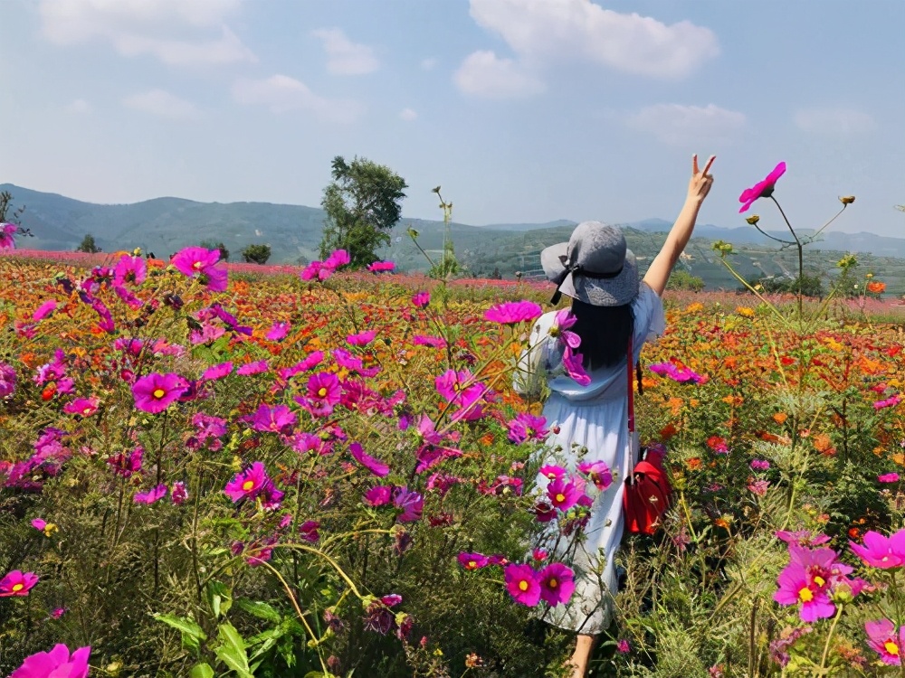 愿每个中年女人都被温柔以待,愿所有中年女人幸福快乐