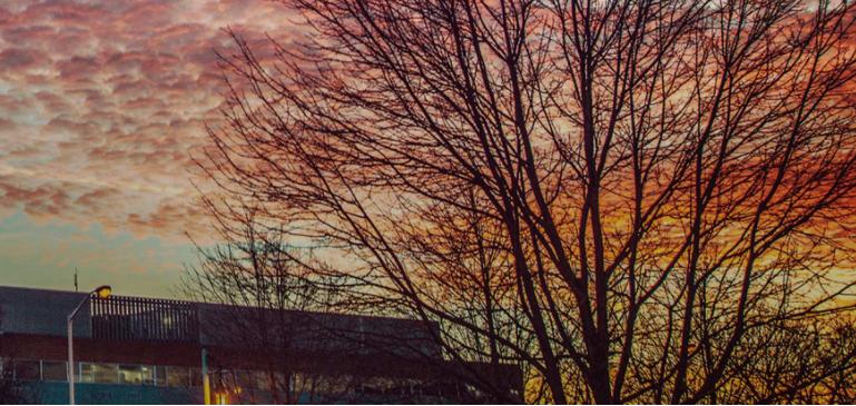 密西根州立大学好吗学术实力学校排名环境和就业分析