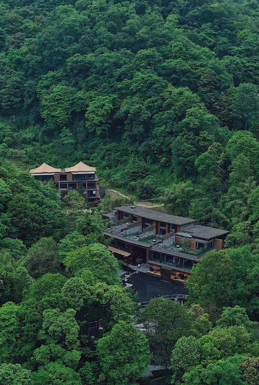 森林秘境的温泉,森林里野奢温泉度假酒店下午茶