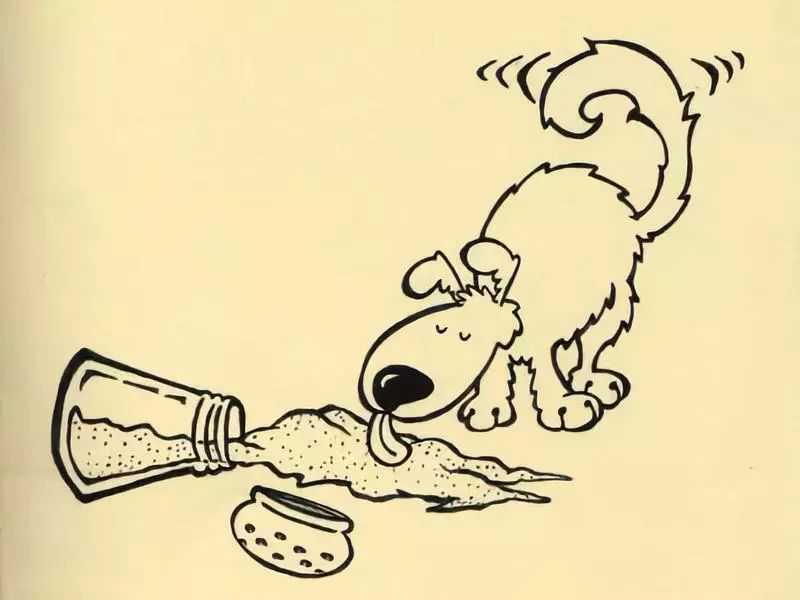 狗狗吃了有盐的东西怎么办,狗狗到底能不能吃虾呢