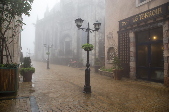 华人在越南经济地位,华人在越南的历史