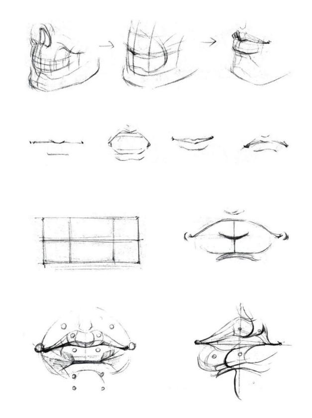 零基础人物脸的画法,人体五官细节该怎么画